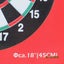 DARTBOARD DOUBLE-SIDED, 2 GAMES FOR THE PRICE OF ONE!! Carousel 2