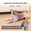 Dog Elbow Protector Shirt for Calluses, Dog Leg Recovery Suit to Prevent Li Carousel 7