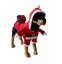 Loading Image 1 of 7