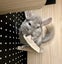 Chinchillas, enclosure & accessories Carousel 4