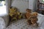 Set of three beautiful handmade teddy bears Carousel 2