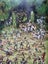 **7x Wardancers - $1 Res!** Wood Elf Army 3000pts Warhammer the Old World Carousel 8