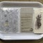 Rubber stamps lot 1 Carousel 3