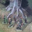 **5x Waywatchers - $1 Res!** Wood Elf Army 3000pts Warhammer the Old World Carousel 4
