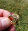 18ct gold snake ring Carousel 14