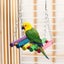 8pcs Wooden Bird Toy Parrot Cage Hammock Chewing Swing Toys Carousel 7