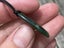 $1 Res!! Greenstone/Pounamu roimata pendant *Kahurangi* Carousel 3