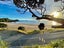 gallery view thumbnail
