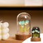 DIY Night Light DIY Tulip Night Light Kit, Arts and Crafts Flower Terrarium Carousel 1