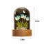 DIY Night Light DIY Tulip Night Light Kit, Arts and Crafts Flower Terrarium Carousel 3
