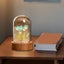 DIY Night Light DIY Tulip Night Light Kit, Arts and Crafts Flower Terrarium Carousel 6