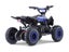 Kids Mini Quad Bike 800W Electric Blue Carousel 7