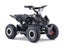 Kids Mini Quad Bike 800W Electric Black Carousel 1
