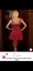New - Little Red Christmas Dress size sml Carousel 6