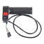 Vici Titan Electric Balance Bike 12in/16in Throttle Carousel 1