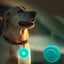 Kids Toys ! Dog Collar Light, Waterproof Dog Lights for Night Walking, Clim Carousel 1