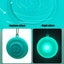 Kids Toys ! Dog Collar Light, Waterproof Dog Lights for Night Walking, Clim Carousel 5