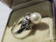 Antique 18ct White Gold Pearl Ring $1 Reserve Carousel 6
