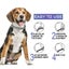 Flea Tick Collar dog Carousel 7