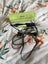 Ghd chronos lime green hair straightner Carousel 1