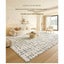 Area Rug 200x300cm Modern Minimalist Living Room Carpet - Modern Frost Carousel 7