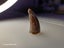 Fossil Crocodile Tooth 29mm - Cretaceous, Kem Kem Group Carousel 8