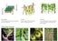 Garden Netting Plant Netting 3.3M x 10M Clearance Sale Carousel 3