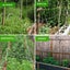 Garden Netting Plant Netting 1.67M x 20M Clearance Sale Carousel 3