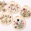 Embroidery Starter Kit DIY Cross Stitch Kits 4PCS Carousel 11