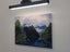Sanctuary in Fiordland - Caley Hall - Original Painting Carousel 4