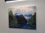 Sanctuary in Fiordland - Caley Hall - Original Painting Carousel 7