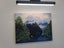 Sanctuary in Fiordland - Caley Hall - Original Painting Carousel 8