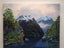 Sanctuary in Fiordland - Caley Hall - Original Painting Carousel 13