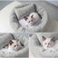 Round Dog Kennel Mat Set - 3-Piece Thickened Puppy Bed with Pillow, 15.75in Carousel 4