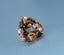 13.12CT BRILLIANT HEART CUT 100% NATURAL PINKISH BROWN IMPERIAL TOPAZ Carousel 4