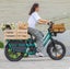 New 2025 Electric cargo bike Carousel 12