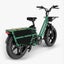 New 2025 Electric cargo bike Carousel 15
