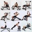 Adjustable Heavy-Duty Weight Bench Carousel 6