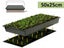 Seedling Heat Mat 50*25cm - (NZ Clearance) Carousel 9