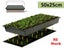 Seedling Heat Mat 50*25cm - (NZ Clearance) Carousel 11