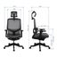Loctek YZ502 Ergonomic Office Chair, With 3D Lumbar Support System - Cushioned Carousel 2