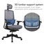 Loctek YZ502 Ergonomic Office Chair, With 3D Lumbar Support System - Cushioned Carousel 4