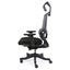 Loctek YZ502 Ergonomic Office Chair, With 3D Lumbar Support System - Cushioned Carousel 9