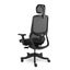 Loctek YZ502 Ergonomic Office Chair, With 3D Lumbar Support System - Cushioned Carousel 10