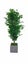 Artificial Ficus Tree H180cm with Square Planter *35% OFF Carousel 1