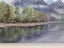 Fiordland Reflections - Caley Hall - Original Painting Carousel 10