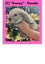 Purebred Mini lop Baby Bunnies - 7 Weeks Old - Available Now Carousel 9