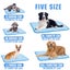 Pet soft Mat for Dogs Cats Non Toxic Breathable Ice Silk Pad Blanket for Ke Carousel 2