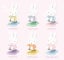 Miffy: Phone Holder Series Blind Box (Single) Carousel 2