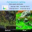 Aquarium Lights Fish Tank Light LED Size M 2017607 Carousel 7